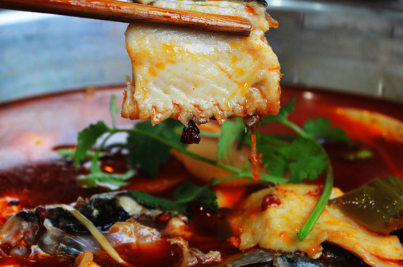 鱼火锅午夜无码免费视频