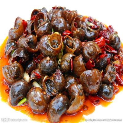 四川特色烧烤技术午夜无码免费视频哪里好?生蚝扇贝各种口味调制方法