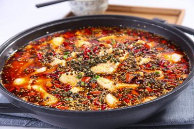 火锅鱼技术午夜无码免费视频选正规学校哪家好？