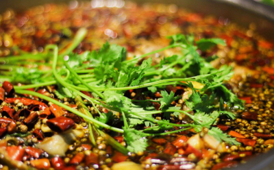 成都美蛙鱼午夜无码免费视频那家好？