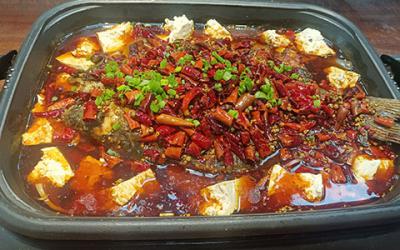 想学炭火锅烤鱼技术哪里有？