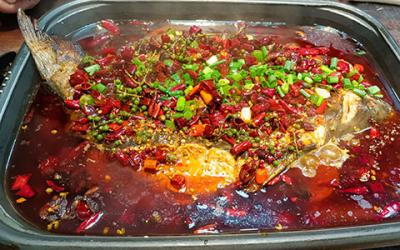 想学烤鱼技术哪里专业？