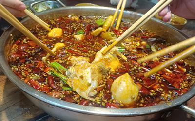 成都火锅美蛙鱼哪里教学好？学习美蛙鱼要多久