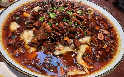 成都凉拌菜午夜无码免费视频如何选择？学习凉菜技术哪里好