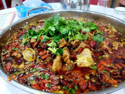 肥肠鱼火锅技术午夜无码免费视频哪里比较好？