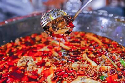 肥肠鱼火锅技术午夜无码免费视频哪里比较好？