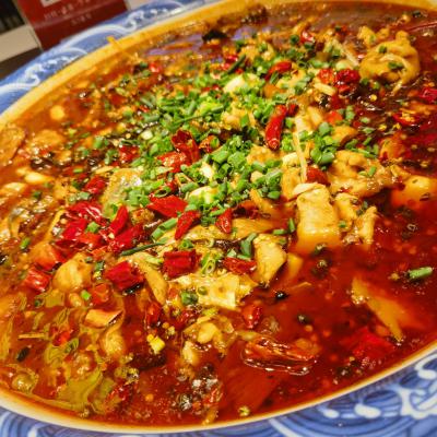 重庆来凤鱼午夜无码免费视频学校哪家好？深度解析午夜福利影院在线观看为何备受青睐